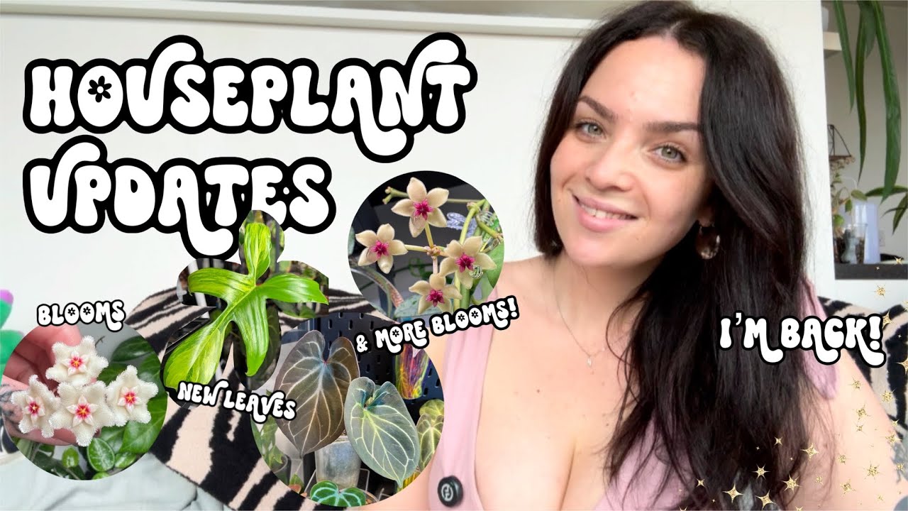 Houseplant Collection Updates 🌿 Walk Through My Collection With Me! ✨