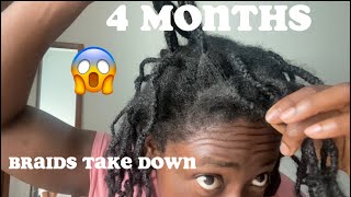 Taking Down My 4 Months Mini Braids I Think I Locd My Hair Extreme Hair Growth