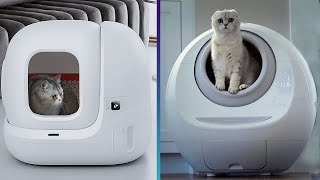 6 Best Automatic SelfCleaning Litter Boxes 2024