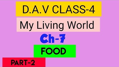 DAV Class 4 Science Chapter 7 Food||Explained in Hindi||ADARSH 999