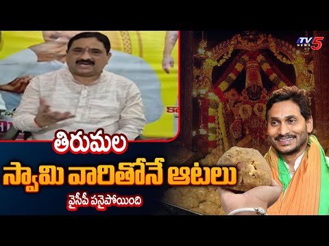 MLA Kalava Srinivasulu Strong Comments On YCP Over TTD Laddu Issue || TV5 News - TV5NEWS