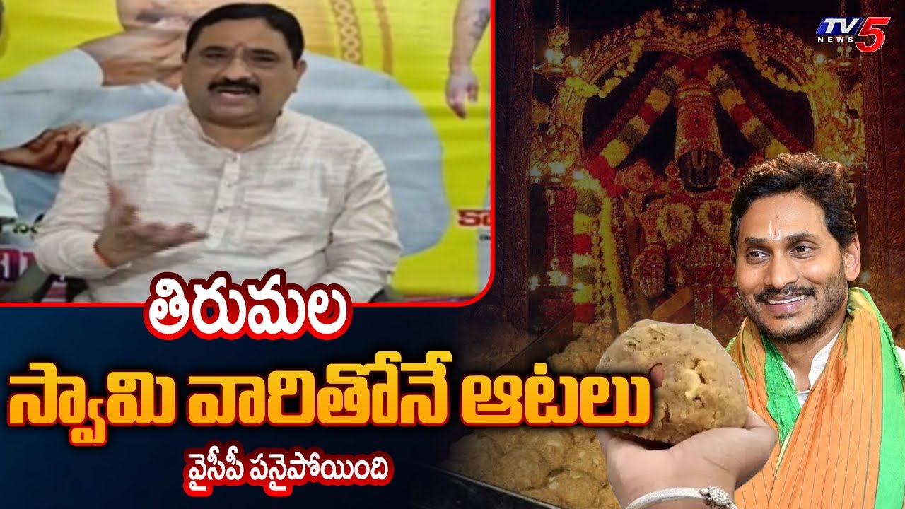 MLA Kalava Srinivasulu Strong Comments On YCP Over TTD Laddu Issue || TV5 News