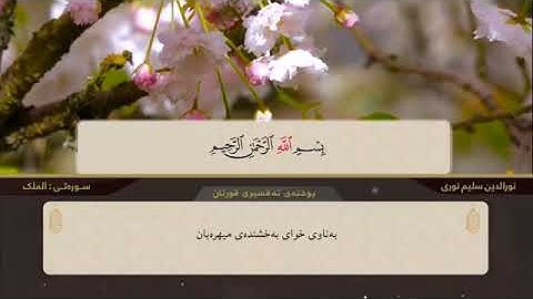 سورة الملك بأجمل صوت و تِلاوه رائعة للقارئ نور الدين سليم الكردي