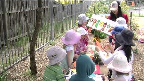 Observing Practice Series NQS PLP - Recreating a familiar story with puppets