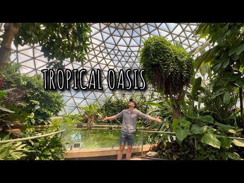 Tropical Rainforest Dome at Brisbane Botanic Gardens