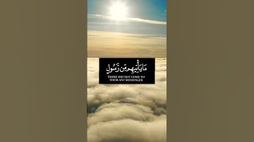 "يا حسرة على العباد" القارئ شريف مصطفى