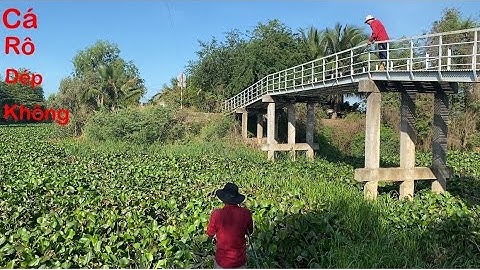 Câu cá rô đồng câu ở marem đồ về bình hoà đông môc hóa long an một đêm bắt ôn của chunl vlog