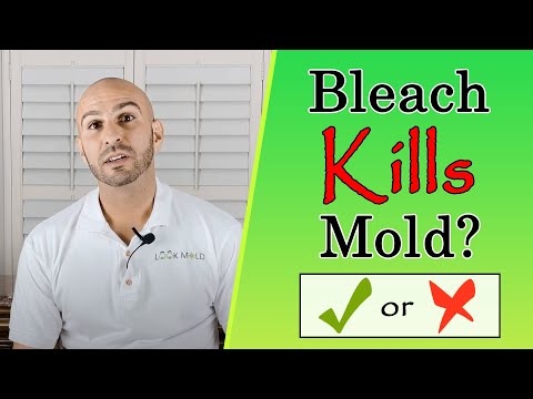 Video: Apakah Bleach Kill Mold? Ditambah Masalah Kesehatan Dan Alternatif Beracun