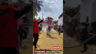 jallikattu vedios poster.... #jallikattu #jallikattulover #tirupathi #jallikattuphotos......