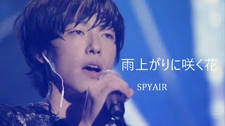SPYAIR 『雨上がりに咲く花』 / 한글자막
