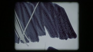 Joep Beving - Zoetrope (Official Video)