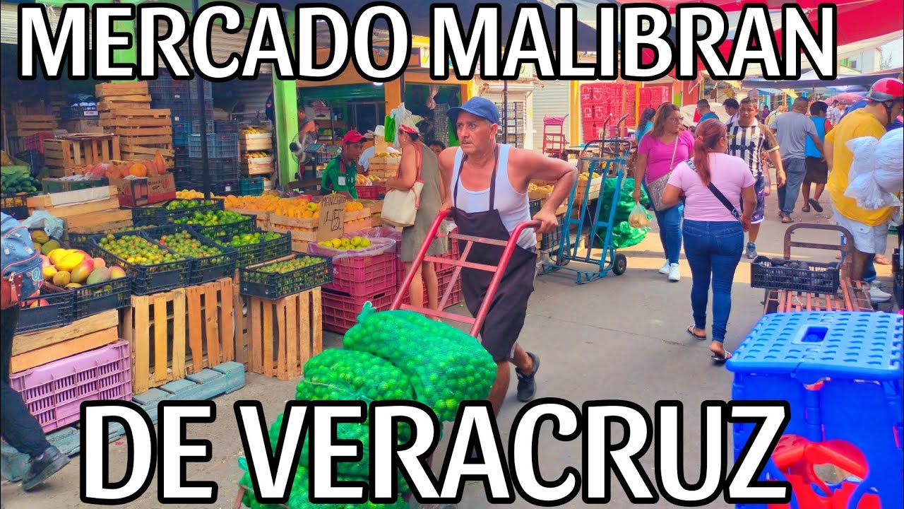 MERCADOS DE VERACRUZ: MALIBRAN, RECORRIENDO SU INTERIOR