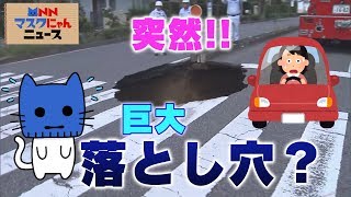 突然、巨大な落とし穴！？原因は下水道管だった！！【マスクにゃんニュース】