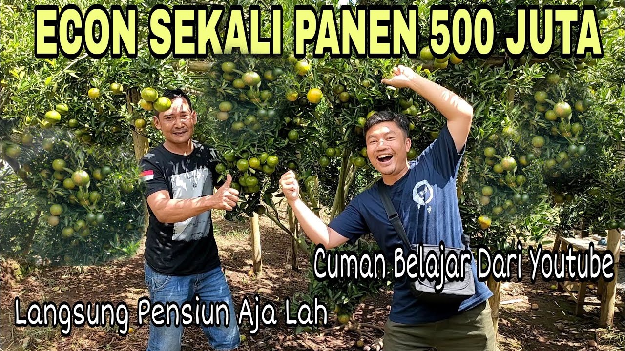 Usaha Perkebunan Yang Paling Menguntungkan