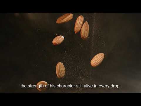 Tales Of The Macallan Volume I Single Malt Whisky