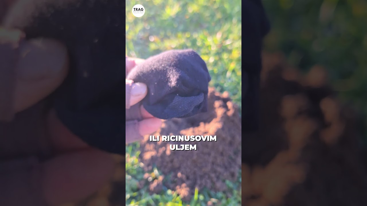 Kako Odbiti KRTICE Na Prirodan Način