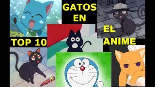 Top 20 cats of anime