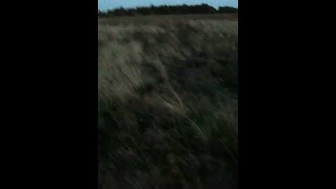 AXN Crash - This is how...