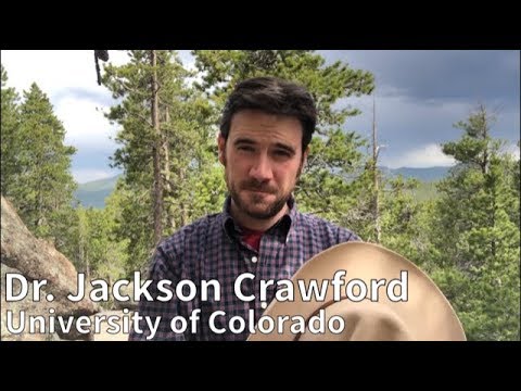 The Symbolism of Dreams and Nightmares in Norse Mythology