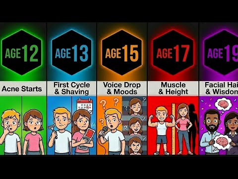 Boys vs Girls: Puberty Changes from Age 8 to 26