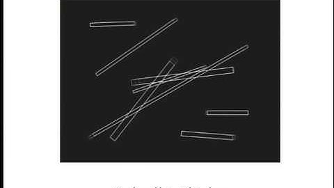 Philosophy 135   Lecture 32   Pylyshyn