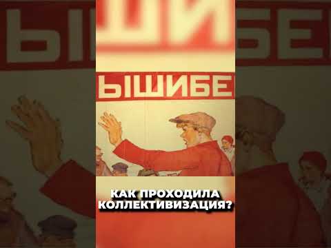 Как проходила коллективизация в СССР