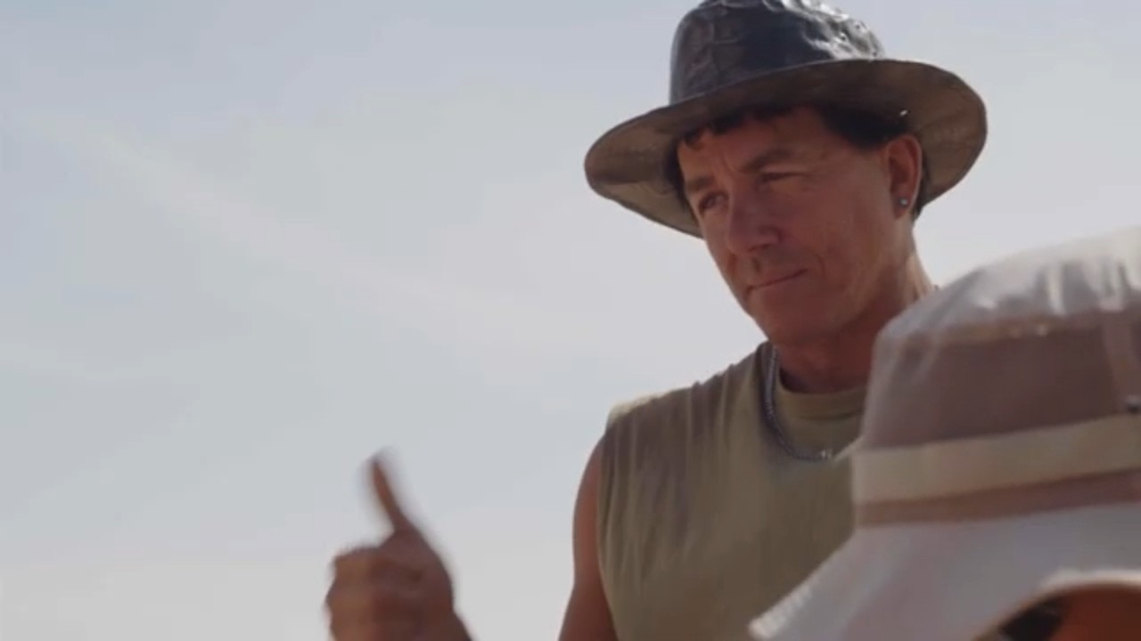 New 'hell heron' dinosaur discovered in the Sahara