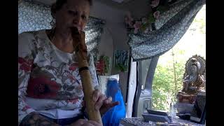 Download Lagu Quietude Bamboo Flute in the Forest -NAF MP3 Download Lagu Quietude Bamboo Flute in the Forest -NAF MP3