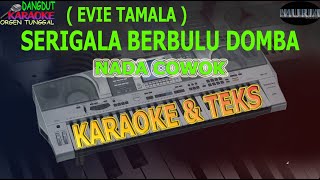 karaoke dangdut SERIGALA BERBULU DOMBA EVIE TAMALA NADA COWOK kybord KN2400/2600