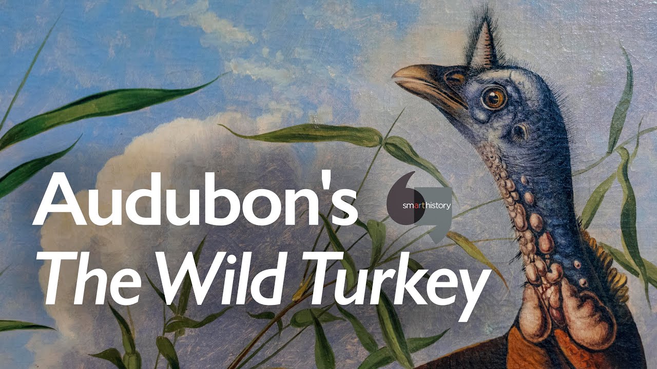 Audubon's The Wild Turkey