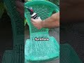 This Trick Restores Faded Plastic Instantly 🔥