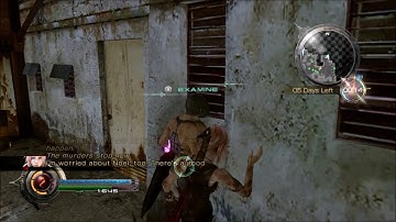 Lightning Returns: Final Fantasy 13 Glitch