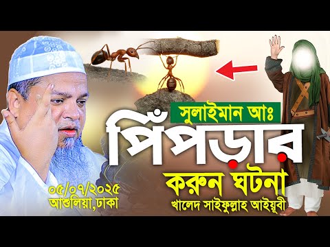 সুলাইমান আঃ ও পিঁপড়ার করুন ঘটনা। Khaled Saifullah Ayubi 2025। খালেদ সাইফুল্লাহ আইয়ুবী নতুন ওয়াজ
