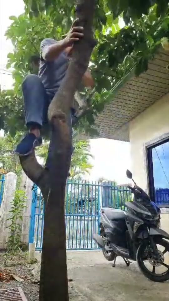 So Scary Funny Moments #magic #shortvideo #funny #entertainment