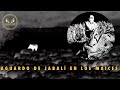 🎥 AGUARDO DE JABALÍ EN LOS MAICES 🐗 #nuevatemporada