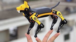 Amazing Robots You Must See to believe