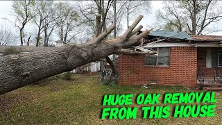 Large oak tree on a house in Amory Mississippi