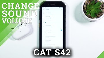 How to Disable Ringtone Volume in CAT S42 – Open Sounds Settings