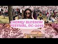 Cheery Blossom Festival,Washington,DC-2019 | Kalyani Boppa | Americalo Ammakutti | | Kite Festival