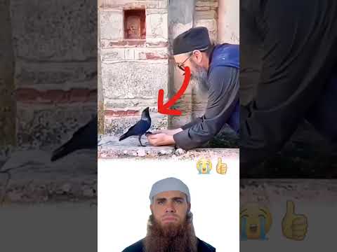 الرحمة والإنسانية قلب يحس ويد تعين ونور يجعل الدنيا أطيب وأجمل اكسبلور Explore Memes 