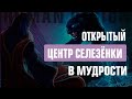 НЕ ОПРЕДЕЛЁННЫЙ ЦЕНТР СЕЛЕЗЕНКА В ДИЗАЙНЕ ЧЕЛОВЕКА. Здоровое Проживание Центра — Human Design