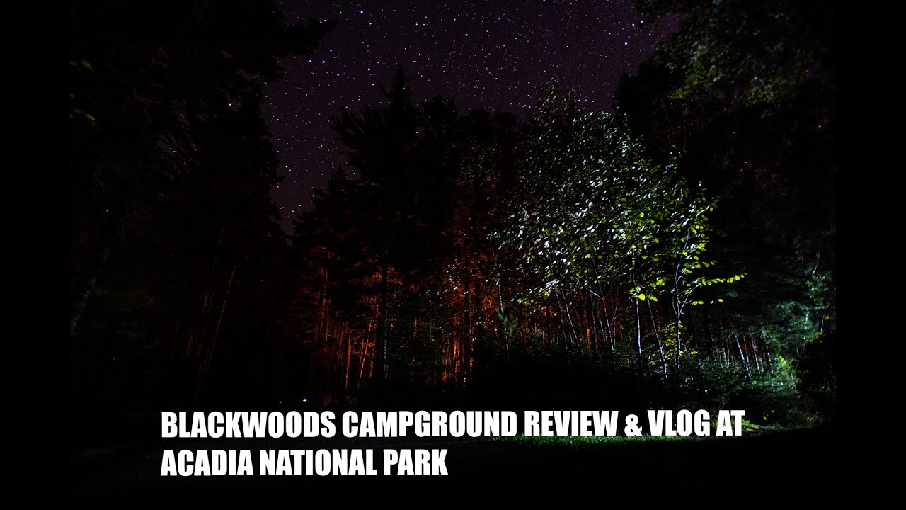 Camping at Blackwoods Campground in Acadia National Park