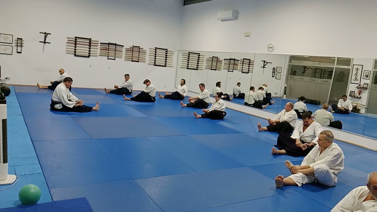 Clase jueves 19 de febrero de 2026 con Anthony Chong Sensei, 2do POV