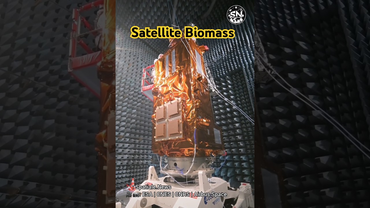 ESA | Satellite Biomass