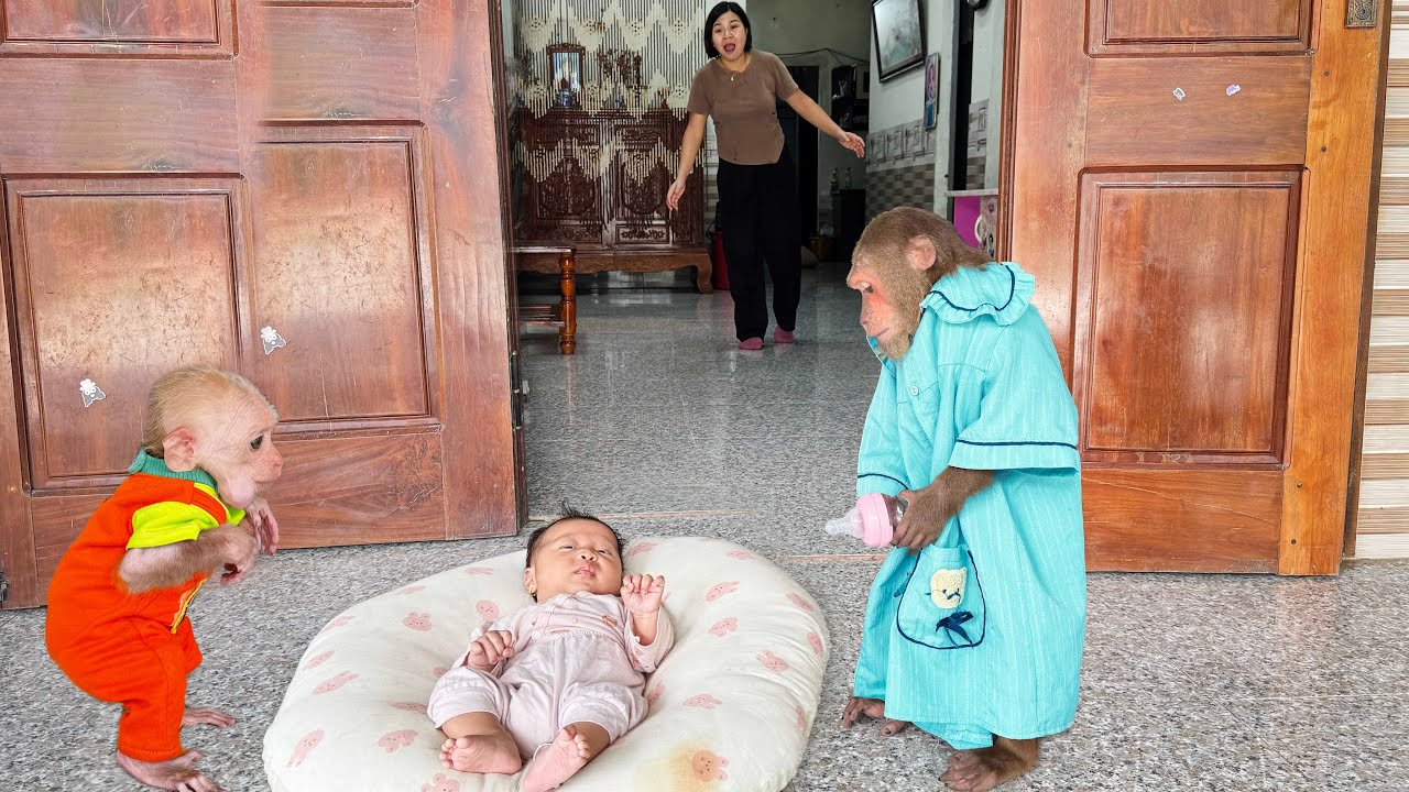 CUTIS dressed up Mom taking care of newborn baby in the funniest way