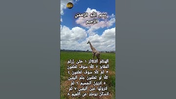 سورة العصر و سورة التكاثر من القرآن الكريم