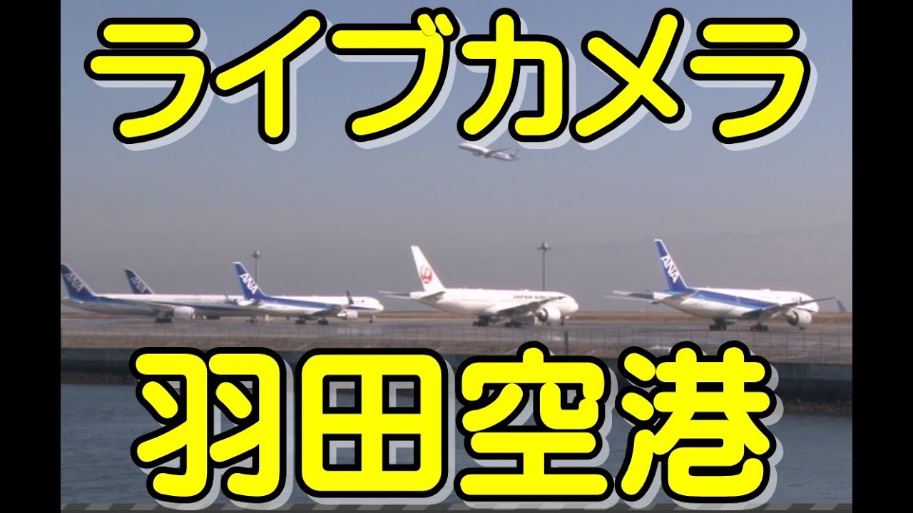 ライブカメラ 羽田空港京浜島つばさ公園haneda Airport Tokyo Japan Youtube