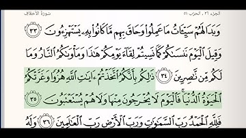 سورة الجاثية للشيخ ماهر المعيقلي من الآية 33 الى الآية 37