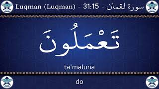 Learn Surah Luqman Word By Word in English Translation + Arabic Transliteration