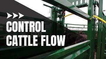 Rolling Cattle Alley Gate | Cattle Handling Equipment | Showcase